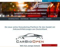 CarBidOpen