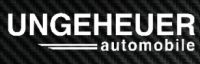 https://auktion.ungeheuer.de/